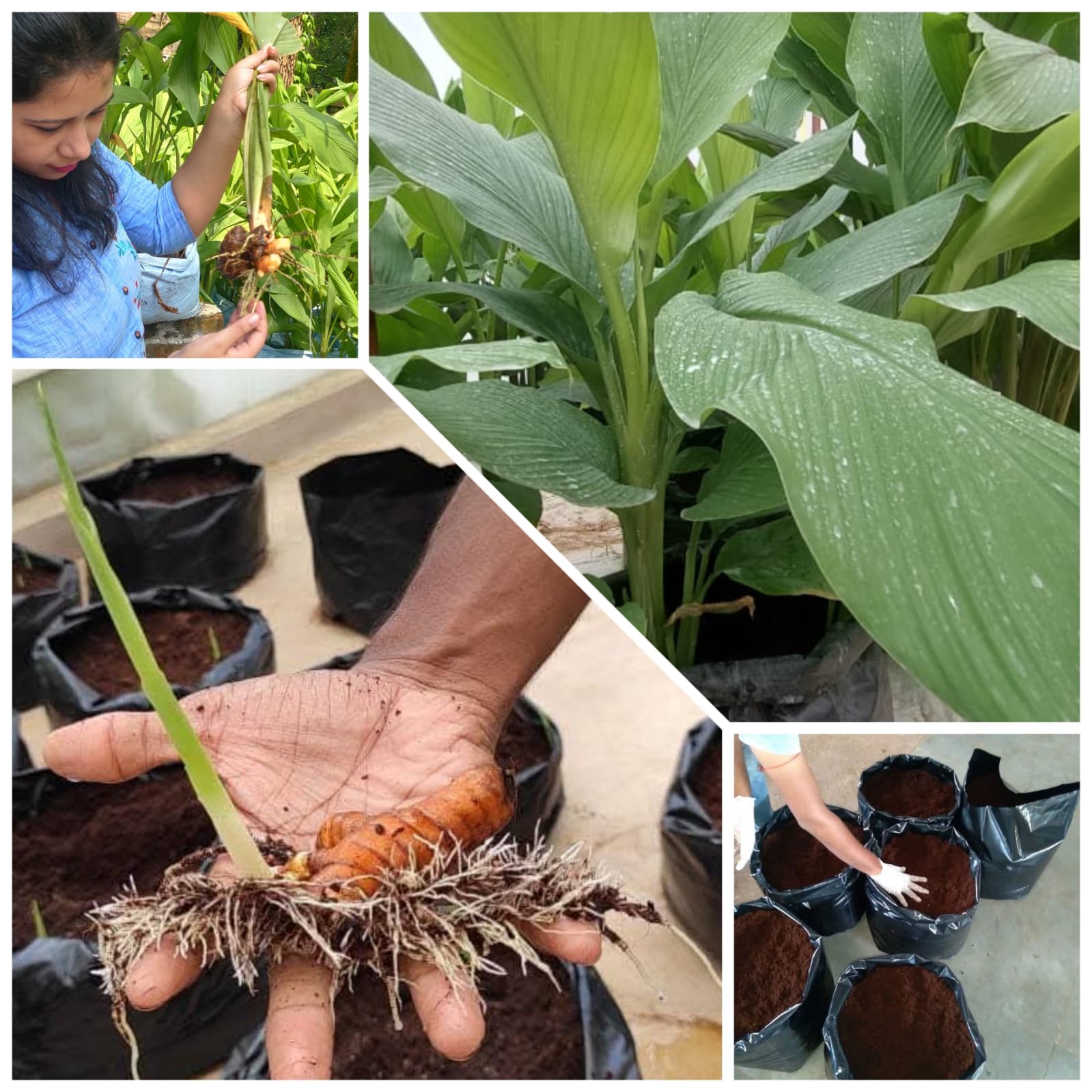 Omkara%20Biotech
