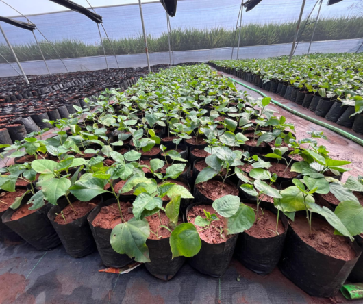 Omkara%20Biotech