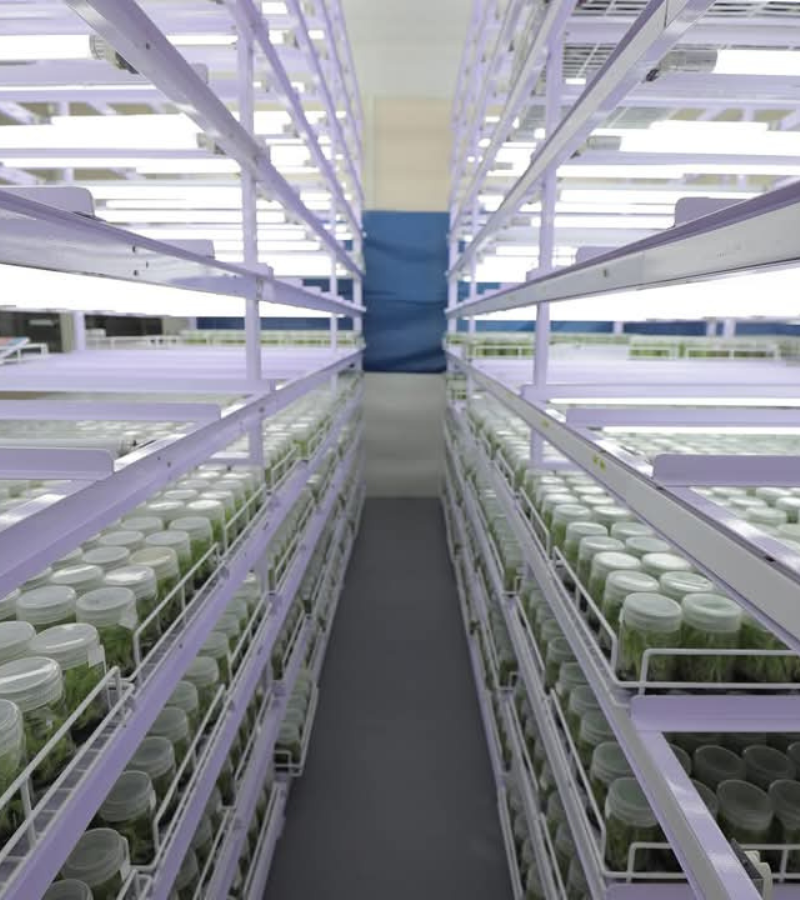 Omkara%20Biotech