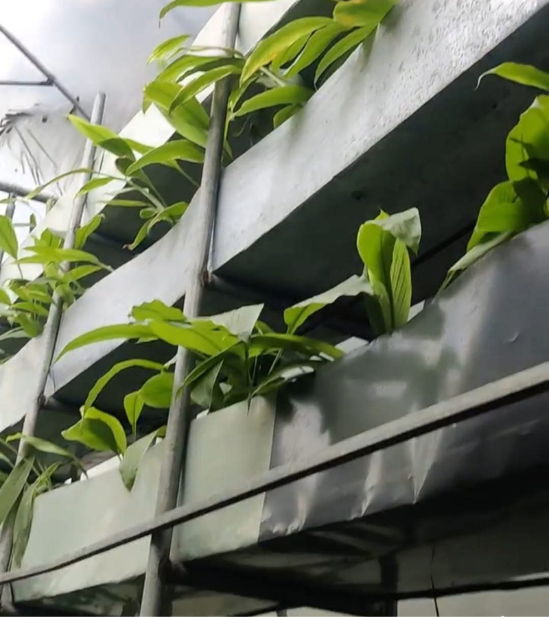 Omkara%20Biotech
